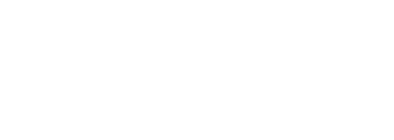 Elexis Group Logo